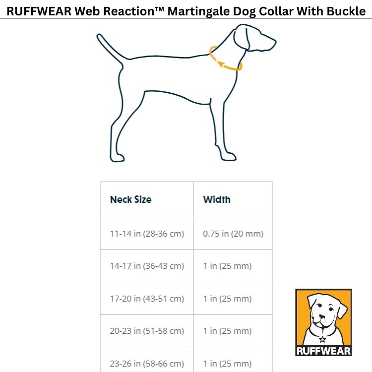 wEB REACTION SIZE CHART